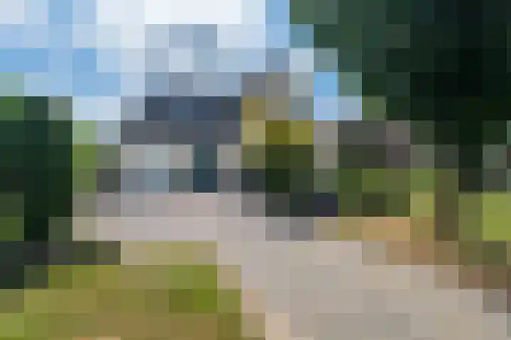 Reidlânswei 90 Hurdegaryp thumbnail 12