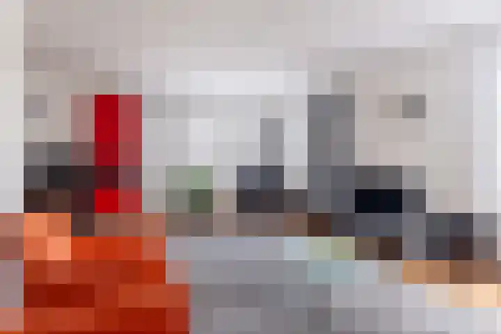 Reidlânswei 90 Hurdegaryp thumbnail 18