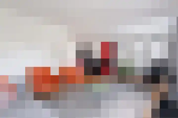 Reidlânswei 90 Hurdegaryp thumbnail 19