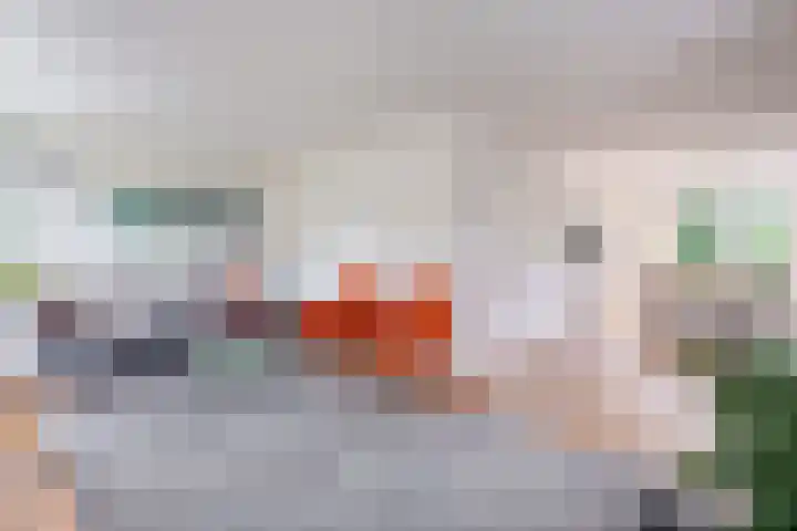 Reidlânswei 90 Hurdegaryp thumbnail 21