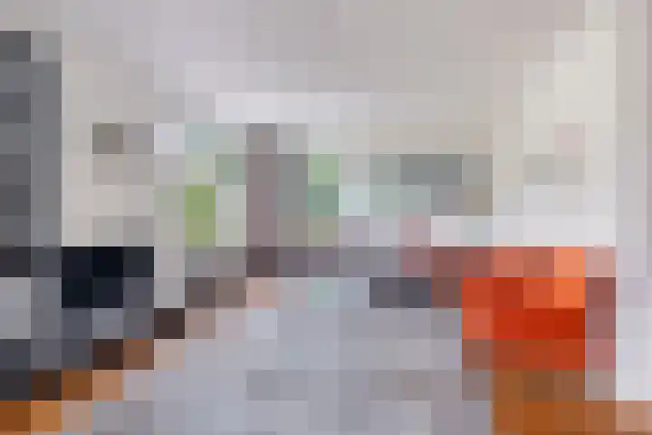 Reidlânswei 90 Hurdegaryp thumbnail 22