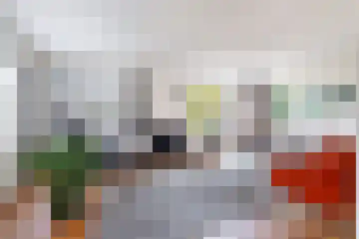 Reidlânswei 90 Hurdegaryp thumbnail 23