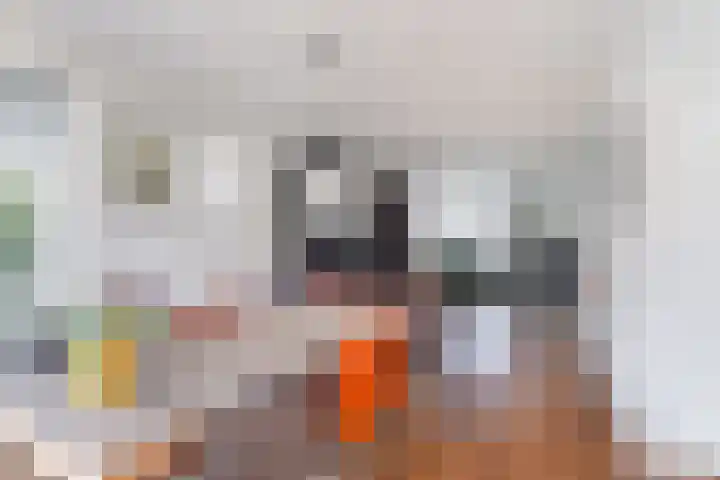 Reidlânswei 90 Hurdegaryp thumbnail 25