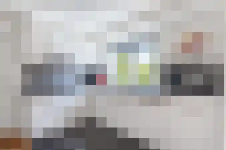Reidlânswei 90 Hurdegaryp thumbnail 26