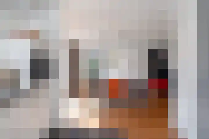 Reidlânswei 90 Hurdegaryp thumbnail 28