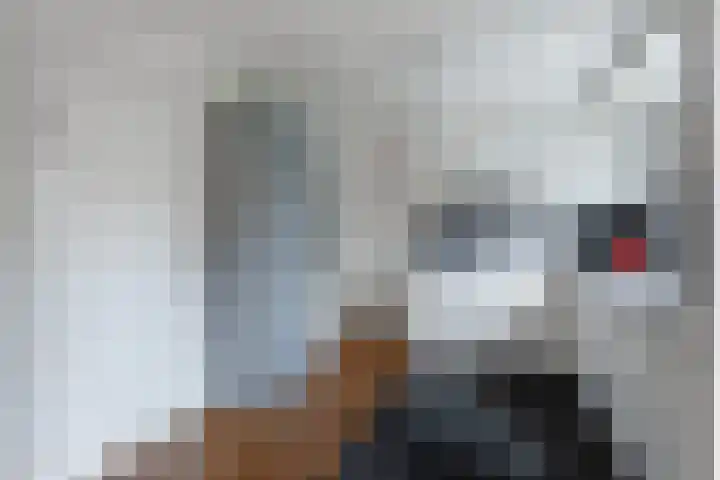 Reidlânswei 90 Hurdegaryp thumbnail 30
