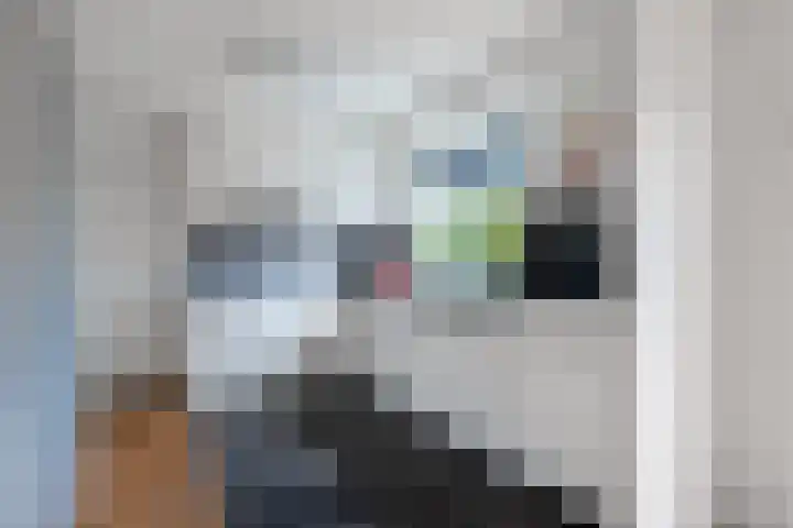 Reidlânswei 90 Hurdegaryp thumbnail 31