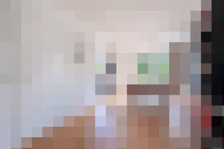 Reidlânswei 90 Hurdegaryp thumbnail 32