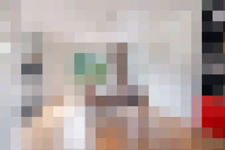 Reidlânswei 90 Hurdegaryp thumbnail 33