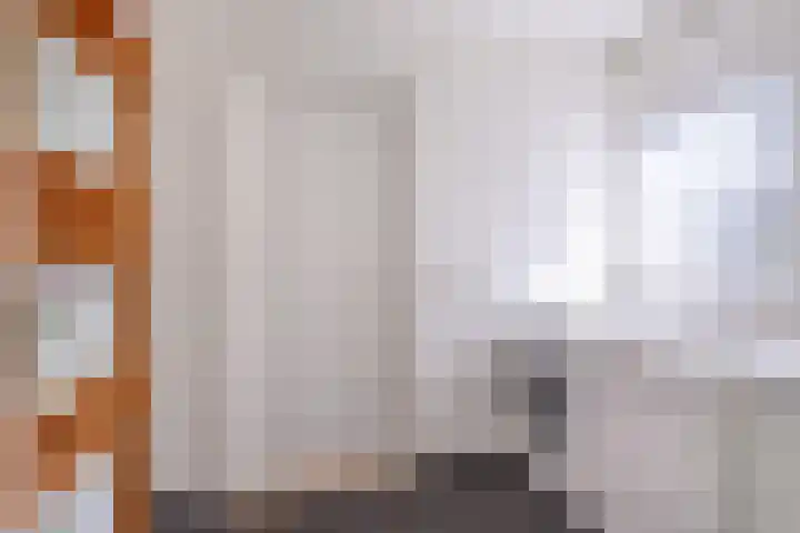 Reidlânswei 90 Hurdegaryp thumbnail 35