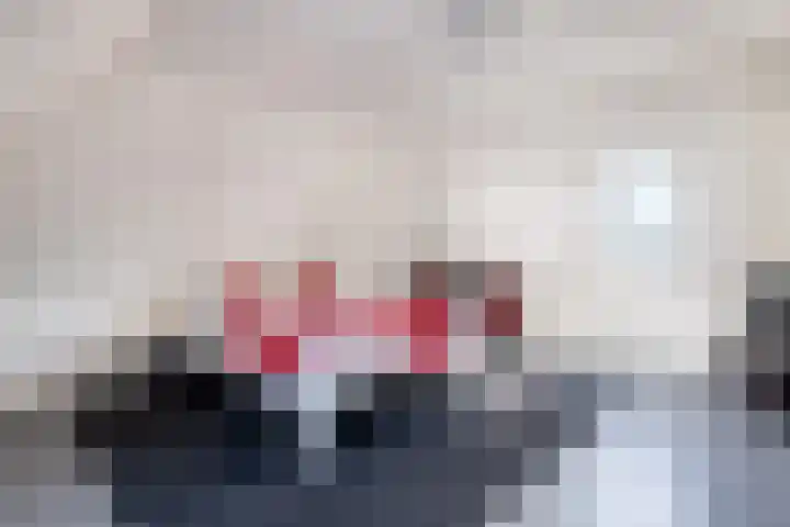 Reidlânswei 90 Hurdegaryp thumbnail 4