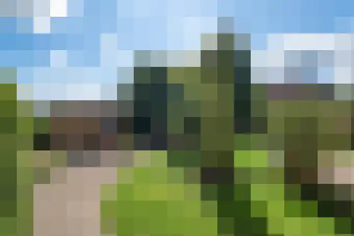 Reidlânswei 90 Hurdegaryp thumbnail 5