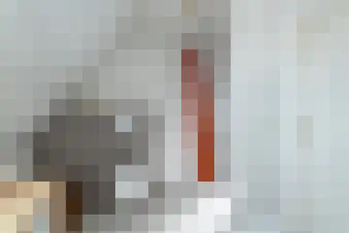 Reidlânswei 90 Hurdegaryp thumbnail 50