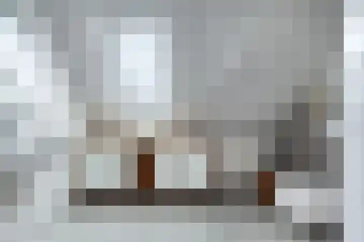 Reidlânswei 90 Hurdegaryp thumbnail 52