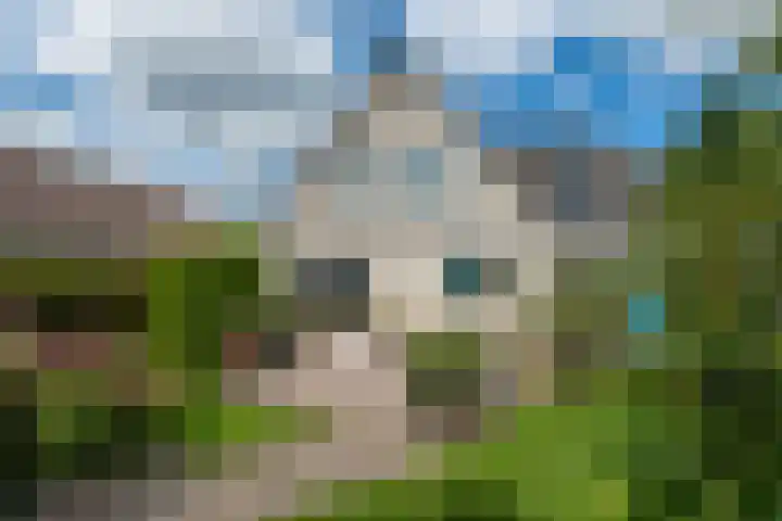 Reidlânswei 90 Hurdegaryp thumbnail 54