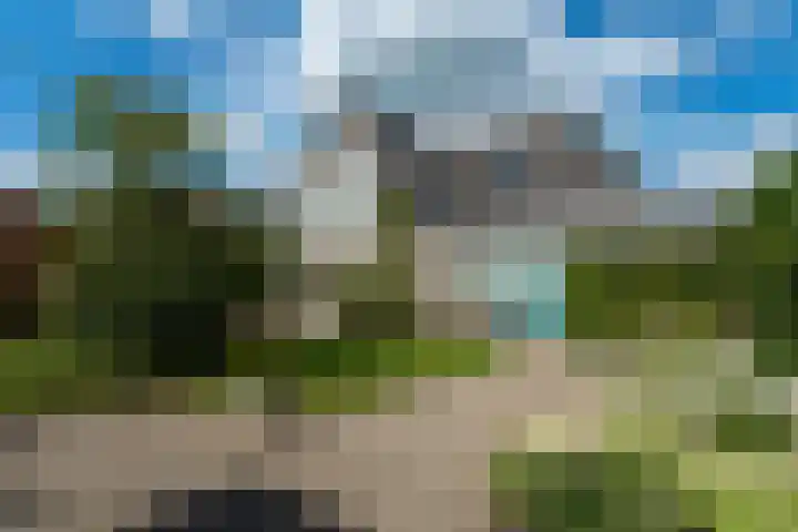 Reidlânswei 90 Hurdegaryp thumbnail 55