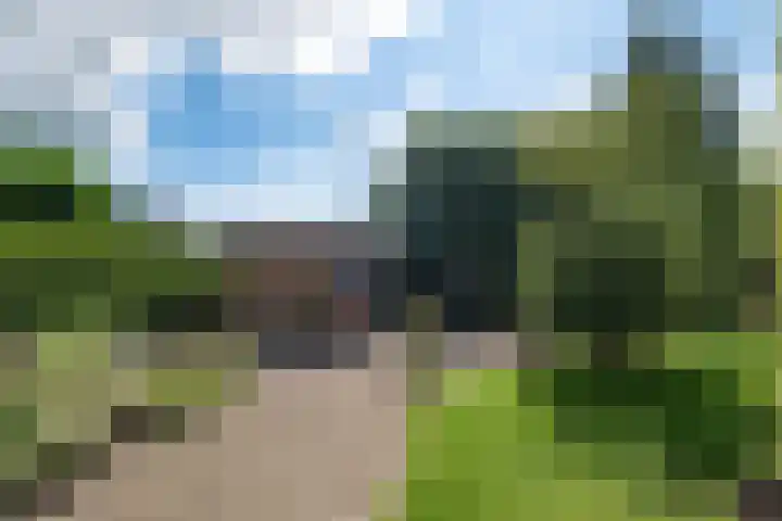 Reidlânswei 90 Hurdegaryp thumbnail 56