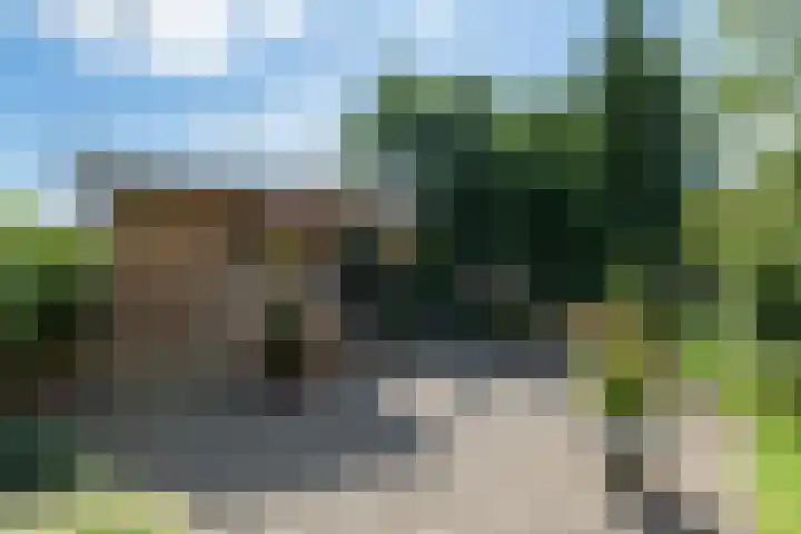 Reidlânswei 90 Hurdegaryp thumbnail 57