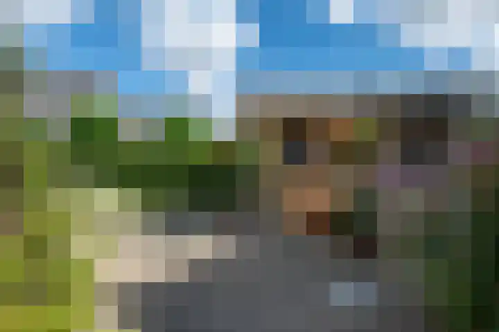 Reidlânswei 90 Hurdegaryp thumbnail 58