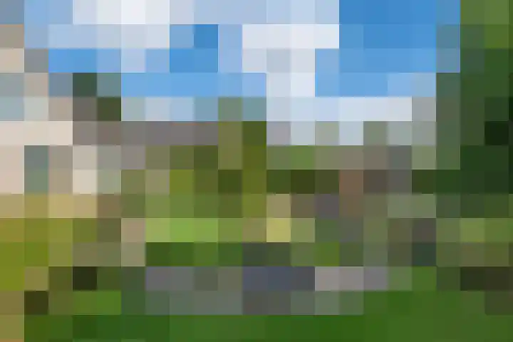 Reidlânswei 90 Hurdegaryp thumbnail 59