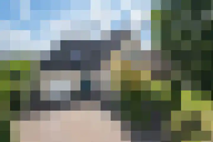 Reidlânswei 90 Hurdegaryp thumbnail 6