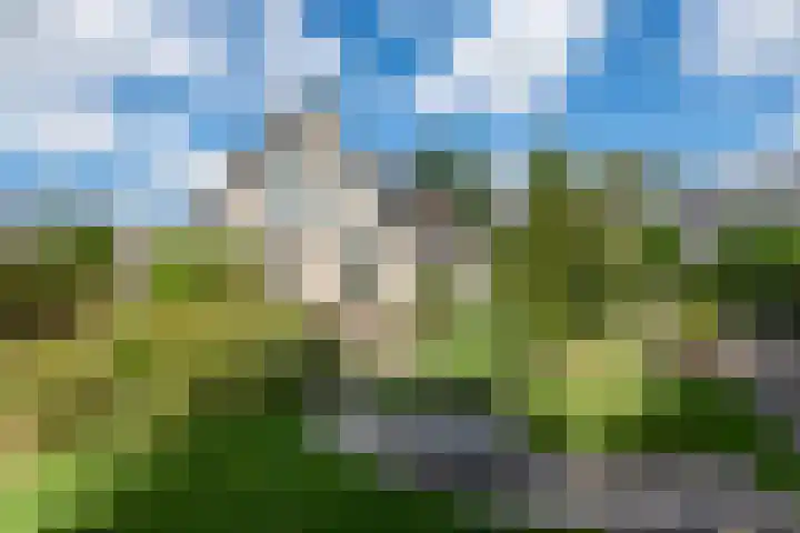 Reidlânswei 90 Hurdegaryp thumbnail 60