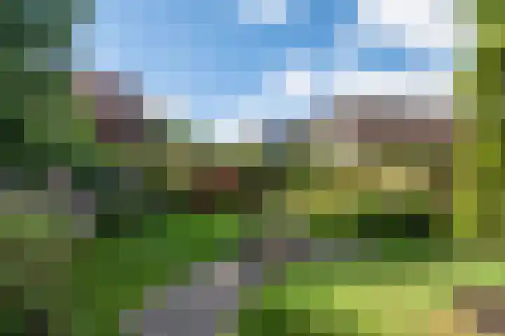 Reidlânswei 90 Hurdegaryp thumbnail 61