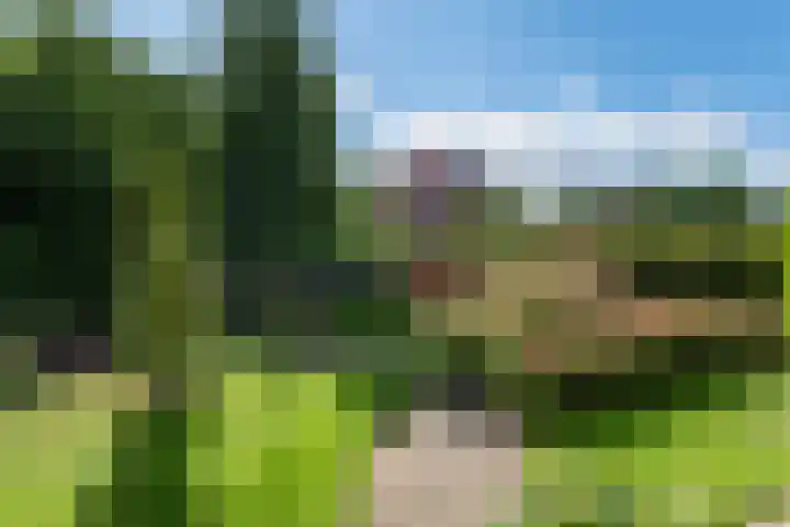 Reidlânswei 90 Hurdegaryp thumbnail 62