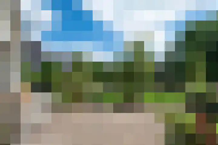 Reidlânswei 90 Hurdegaryp thumbnail 63