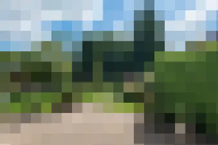 Reidlânswei 90 Hurdegaryp thumbnail 64