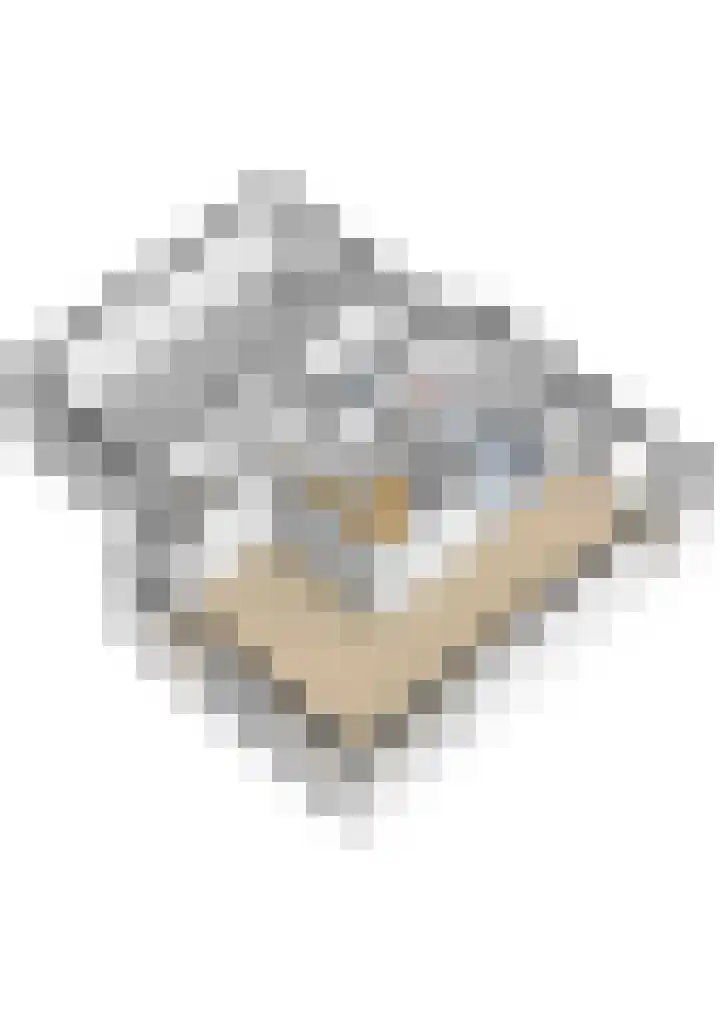 Reidlânswei 90 Hurdegaryp thumbnail 67
