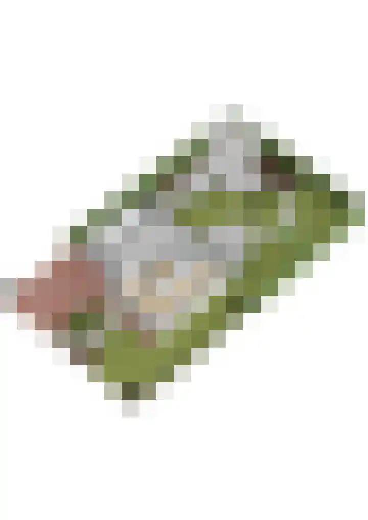 Reidlânswei 90 Hurdegaryp thumbnail 75