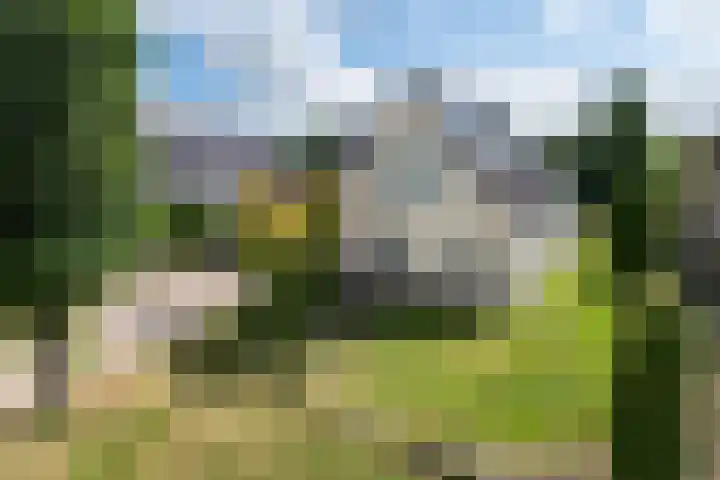 Reidlânswei 90 Hurdegaryp thumbnail 76