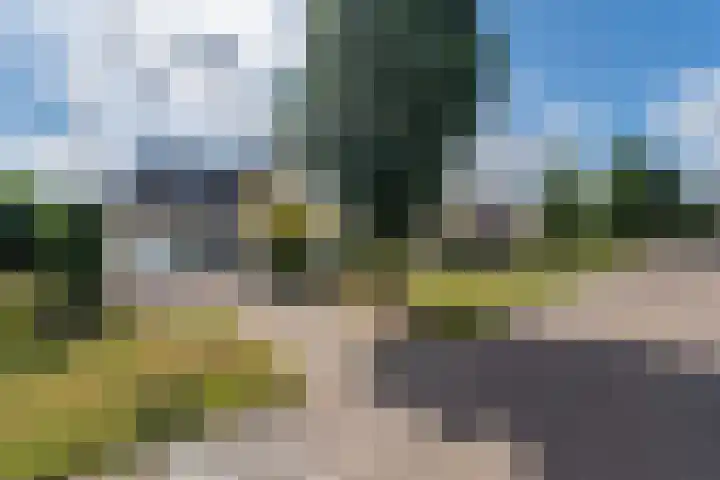 Reidlânswei 90 Hurdegaryp thumbnail 9