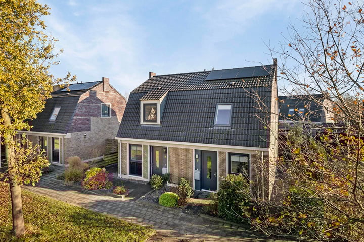 Reidmosk 1E en Hurdegaryp foto