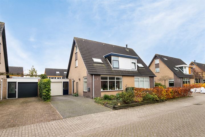 Reidmosk 9 en Hurdegaryp foto