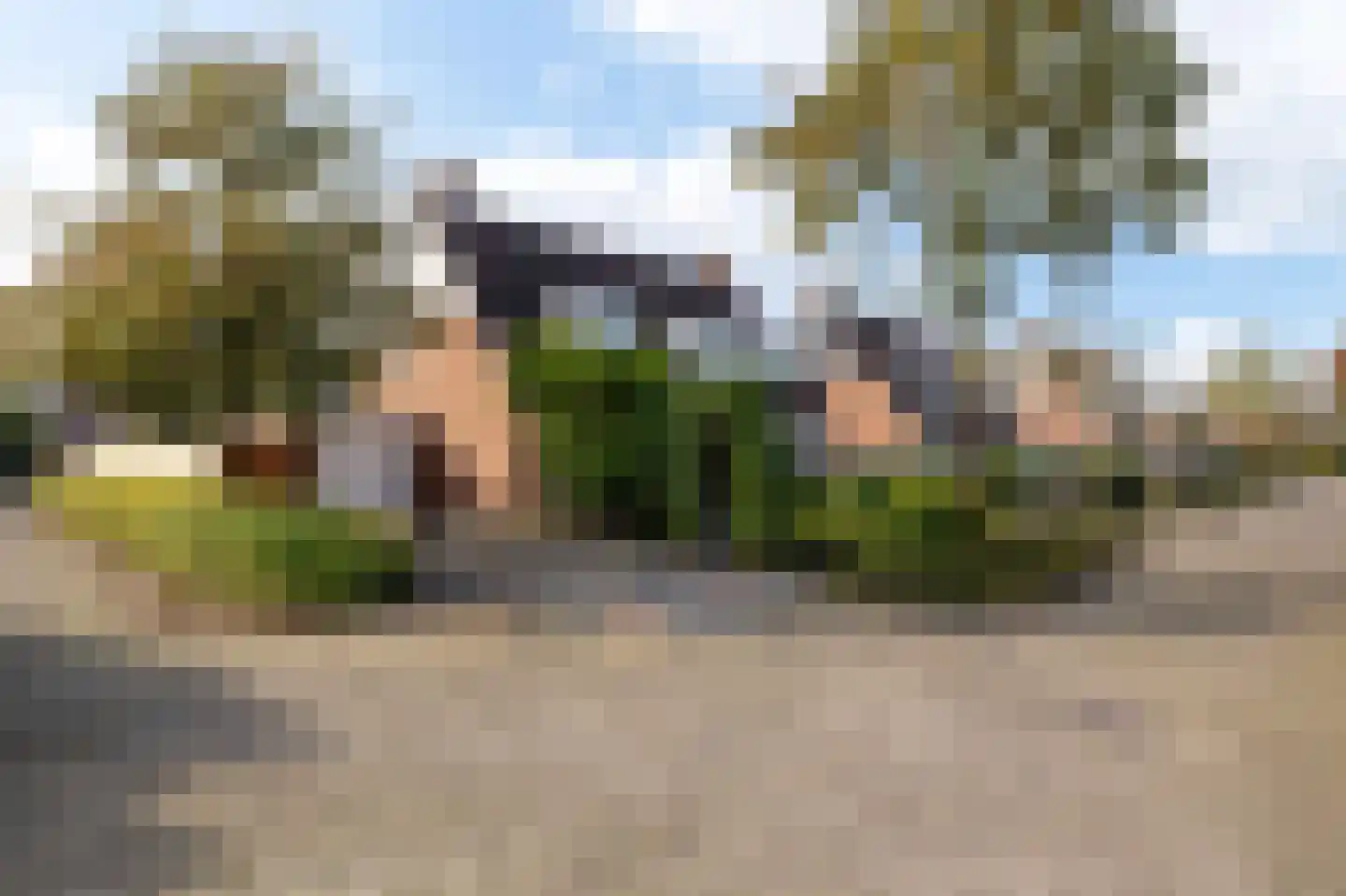 Reidplom 1 Hurdegaryp thumbnail 10