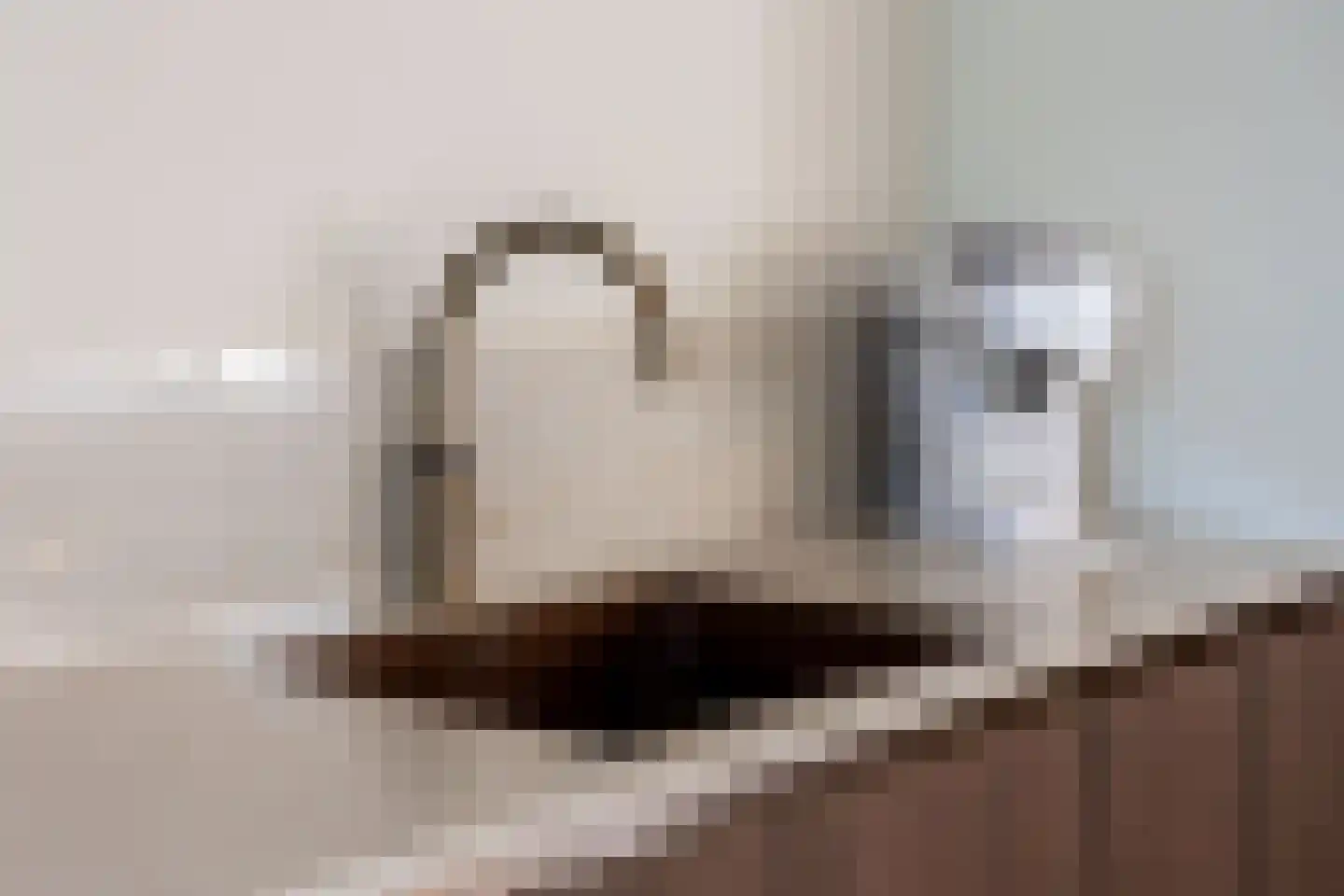 Reidplom 1 Hurdegaryp thumbnail 25