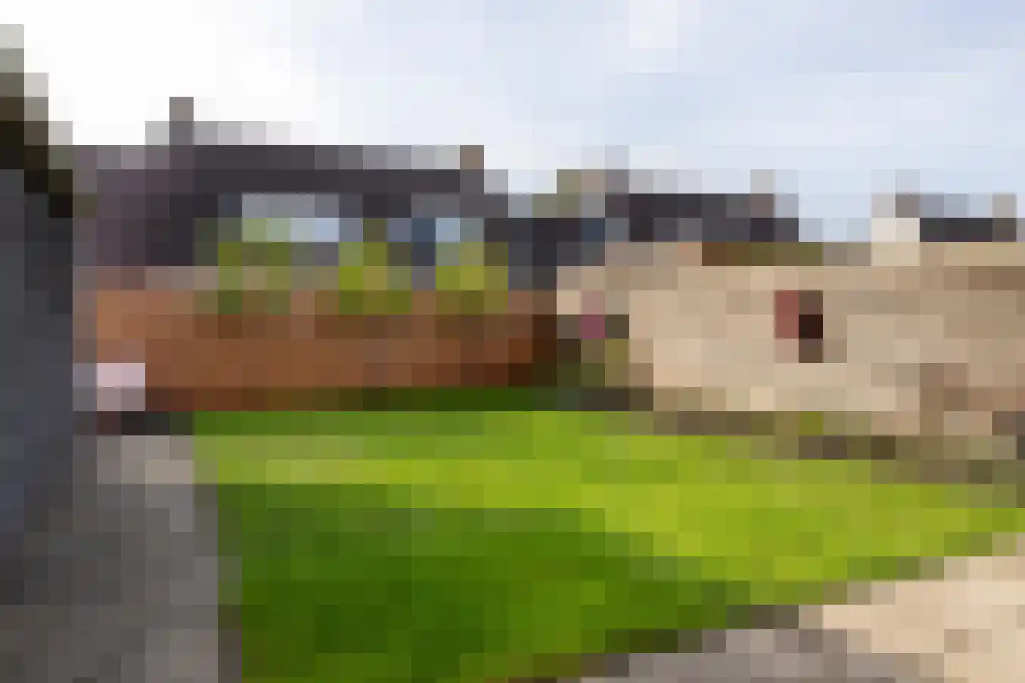 Reidplom 1 Hurdegaryp thumbnail 53