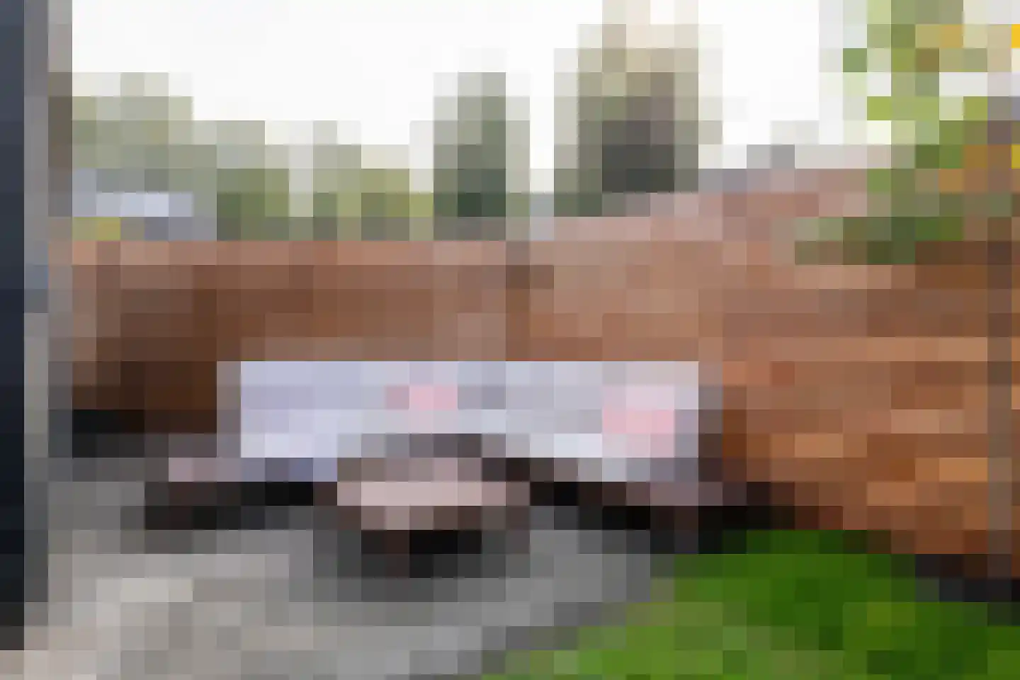 Reidplom 1 Hurdegaryp thumbnail 55