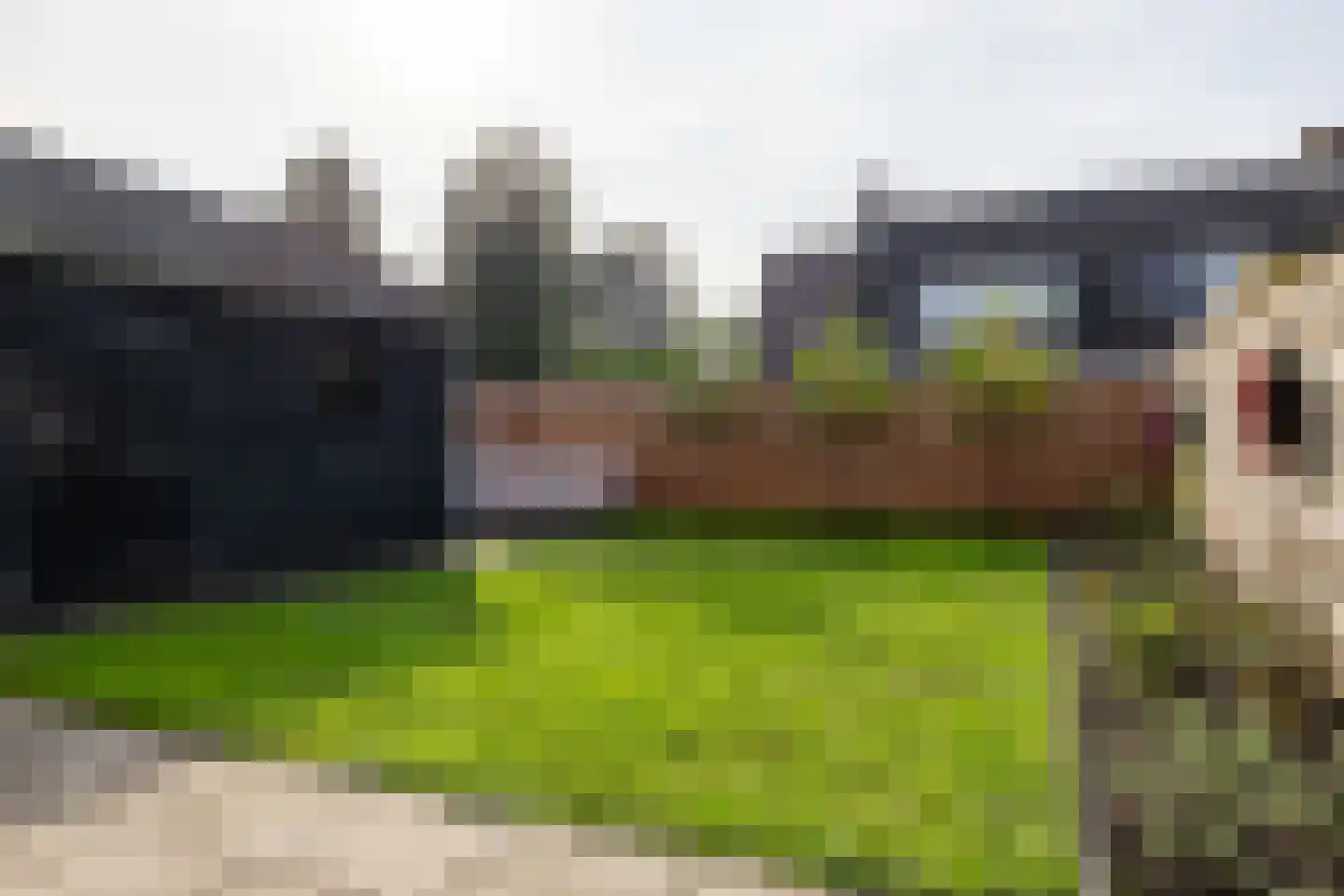Reidplom 1 Hurdegaryp thumbnail 6