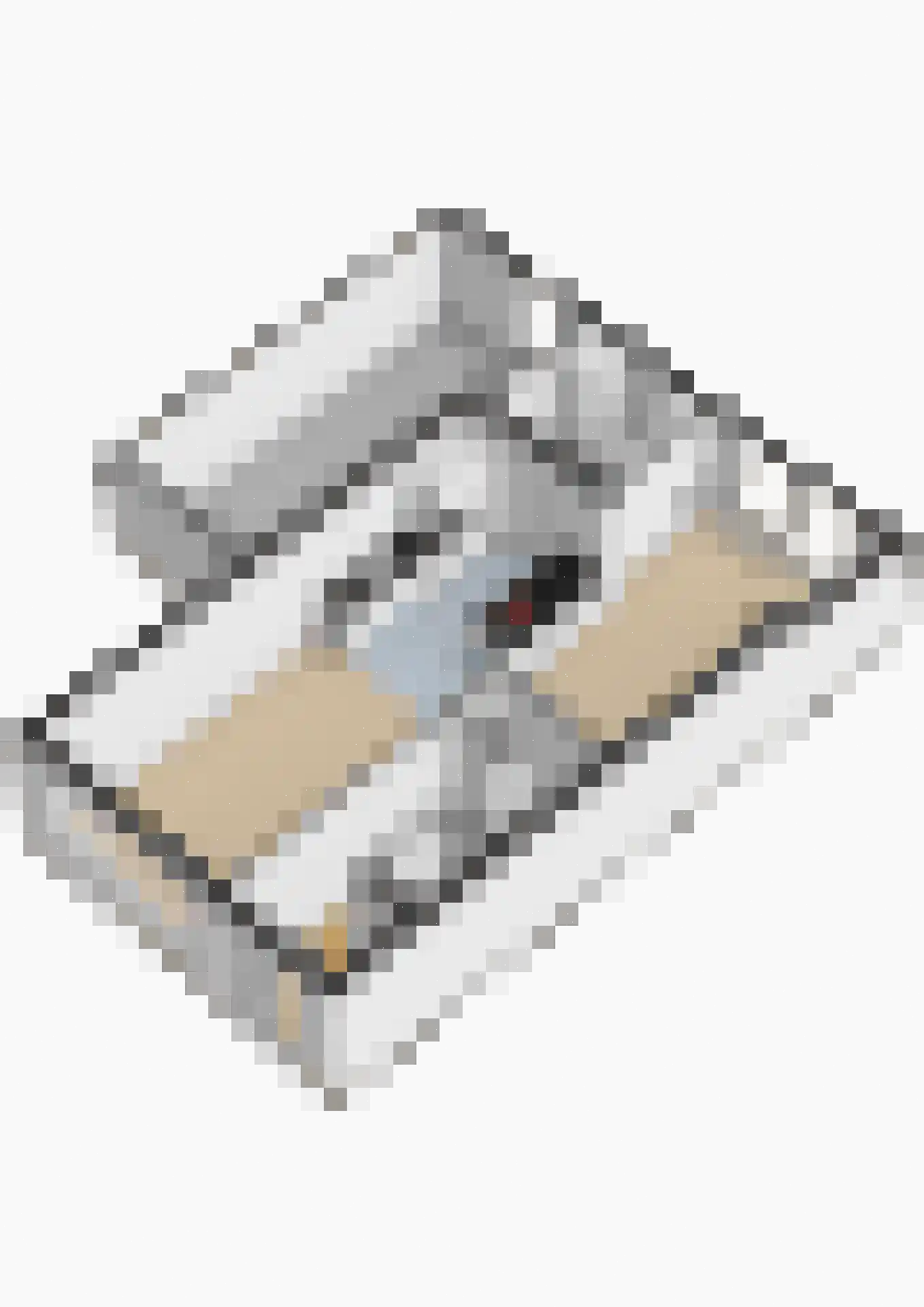 Reidplom 1 Hurdegaryp thumbnail 60