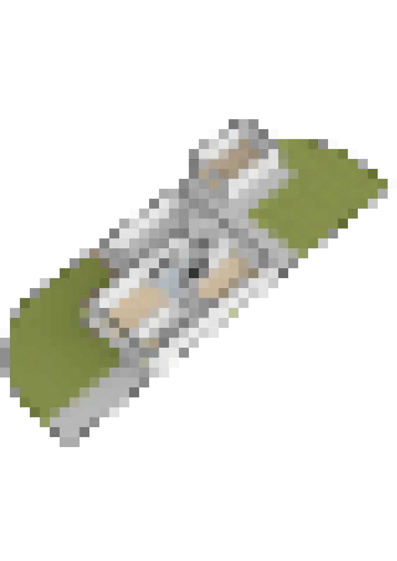 Reidplom 1 Hurdegaryp thumbnail 68