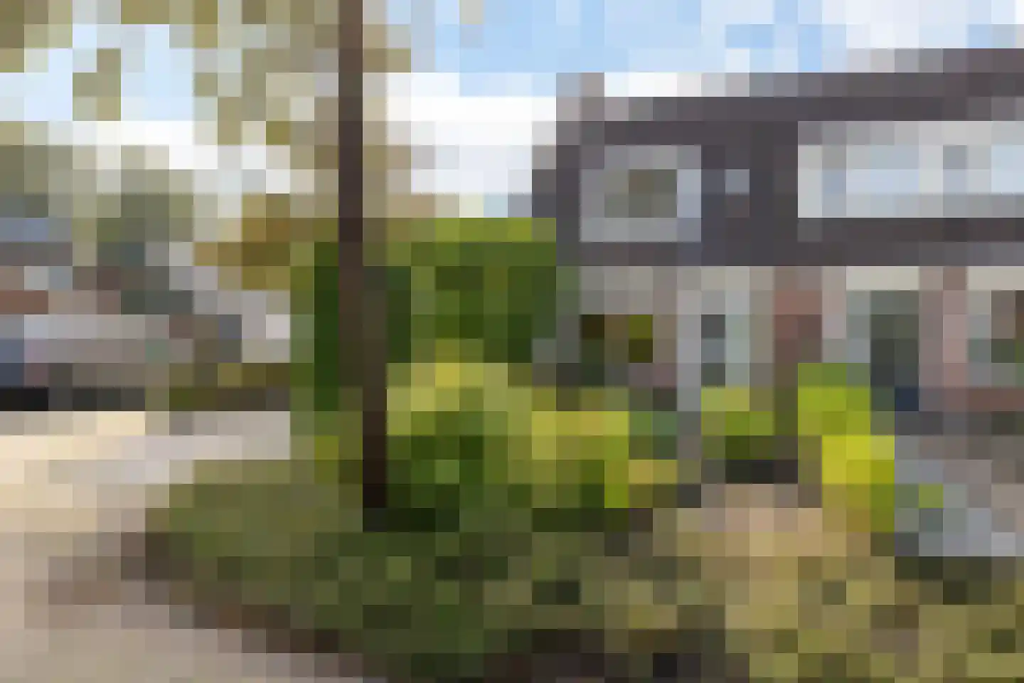 Reidplom 1 Hurdegaryp thumbnail 8
