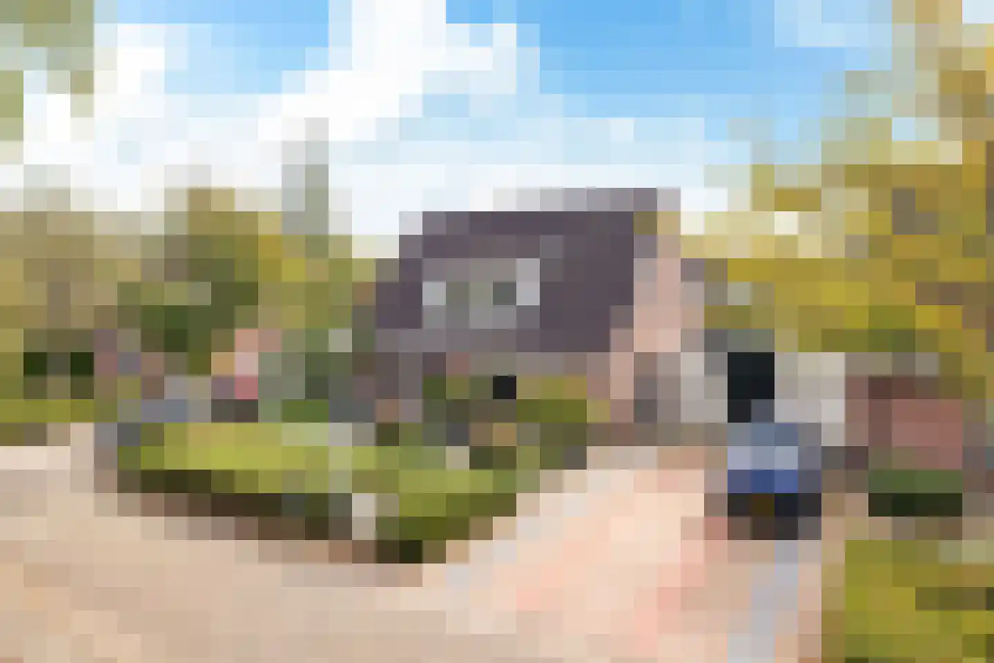 Reidplom 42 Hurdegaryp thumbnail 10