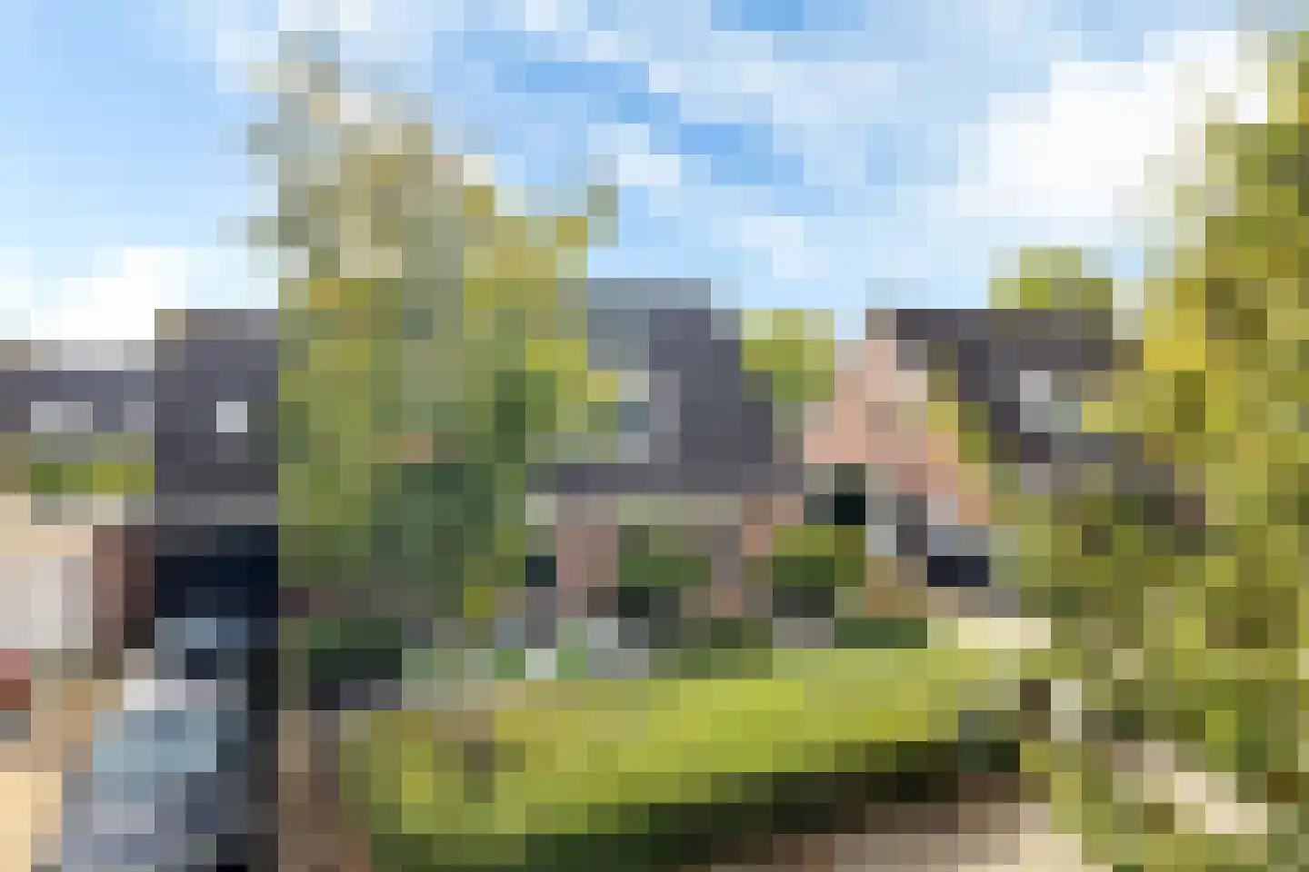 Reidplom 42 Hurdegaryp thumbnail 11