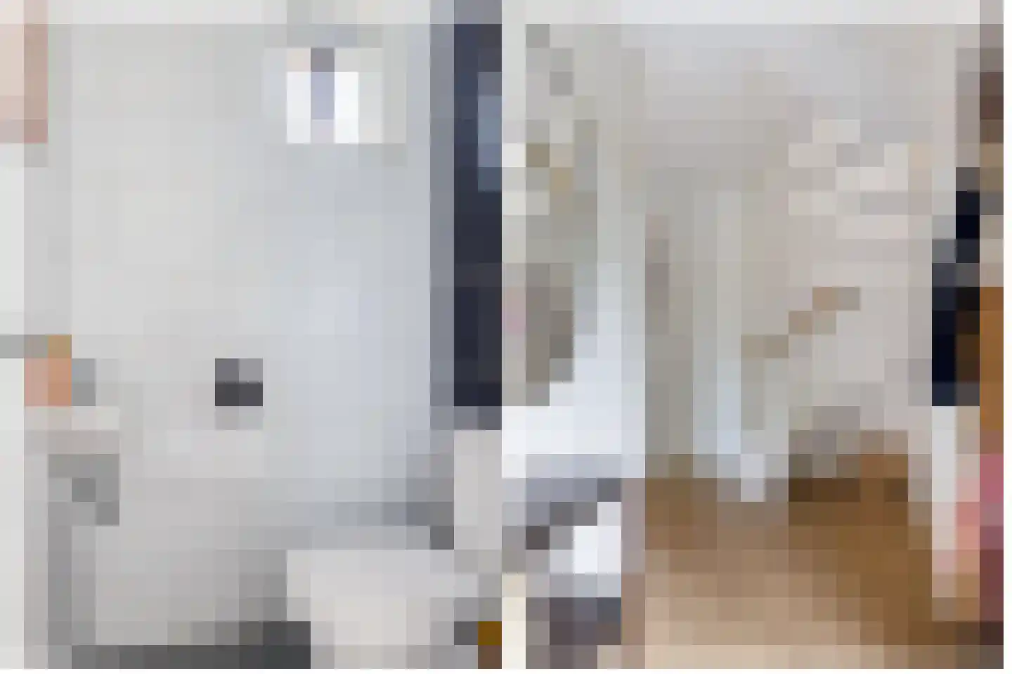 Reidplom 42 Hurdegaryp thumbnail 14