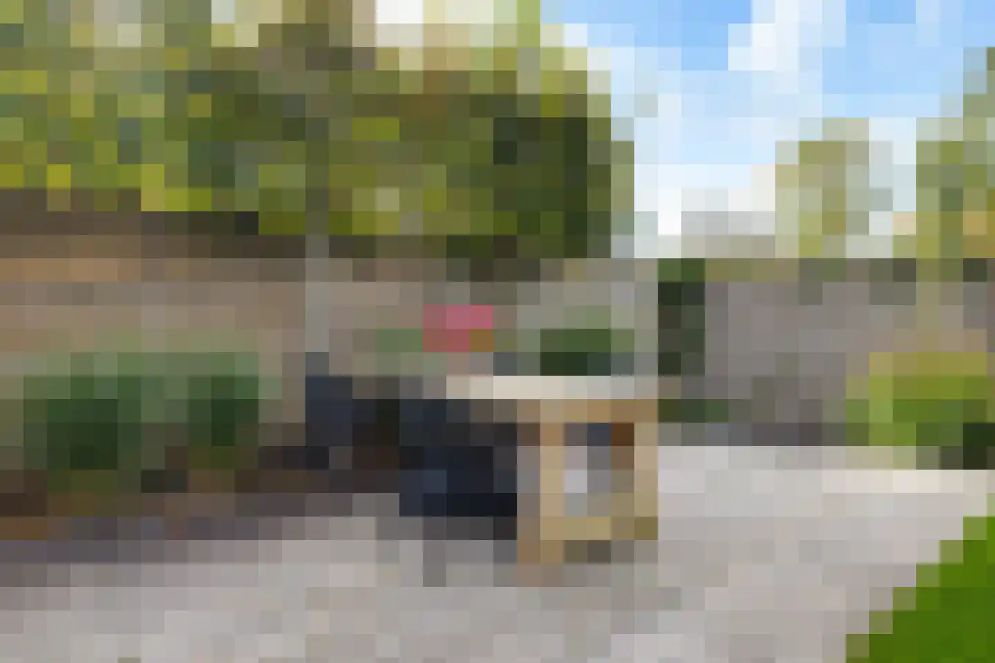 Reidplom 42 Hurdegaryp thumbnail 55