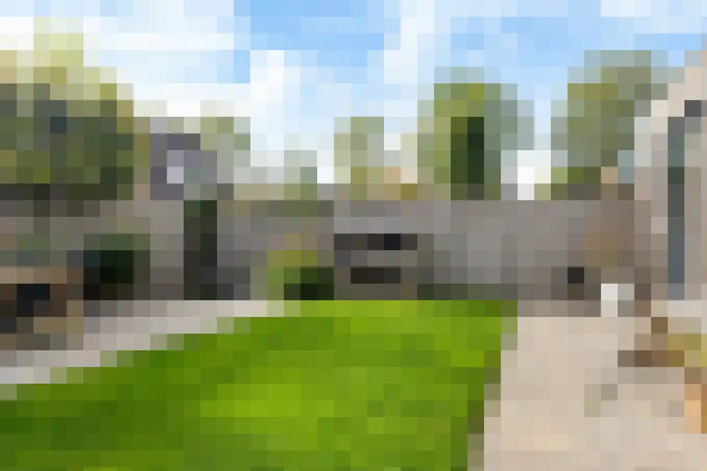 Reidplom 42 Hurdegaryp thumbnail 56