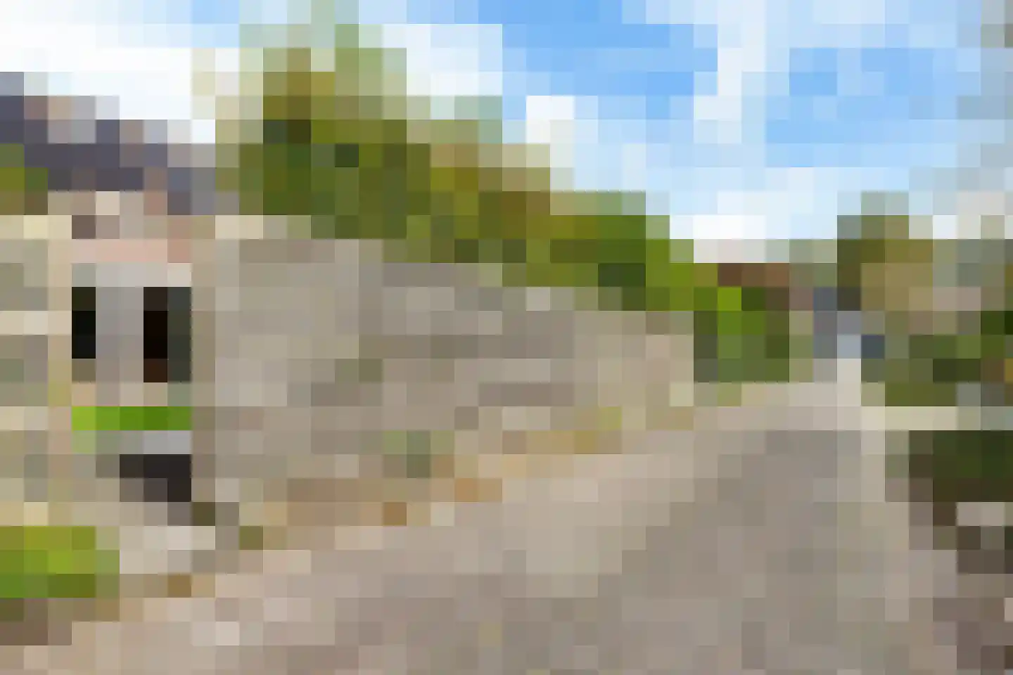Reidplom 42 Hurdegaryp thumbnail 57
